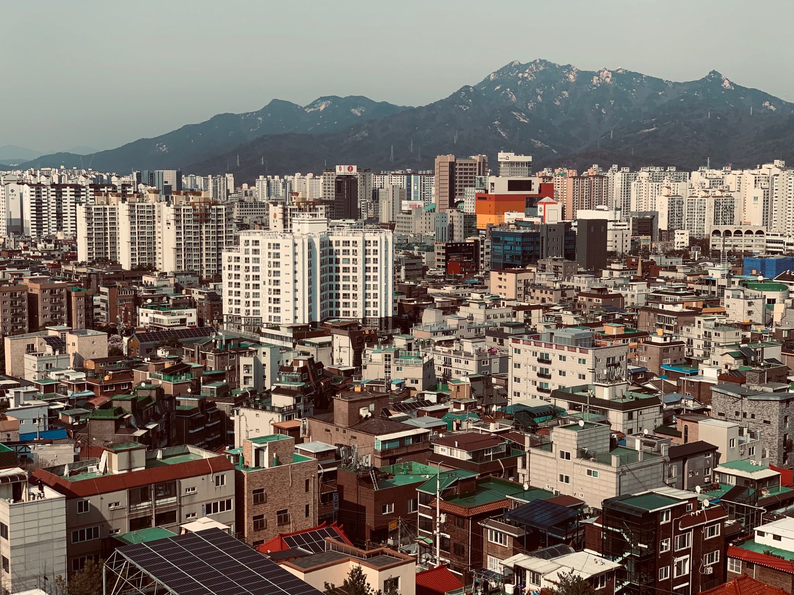 강남 최신 안내 이미지 1